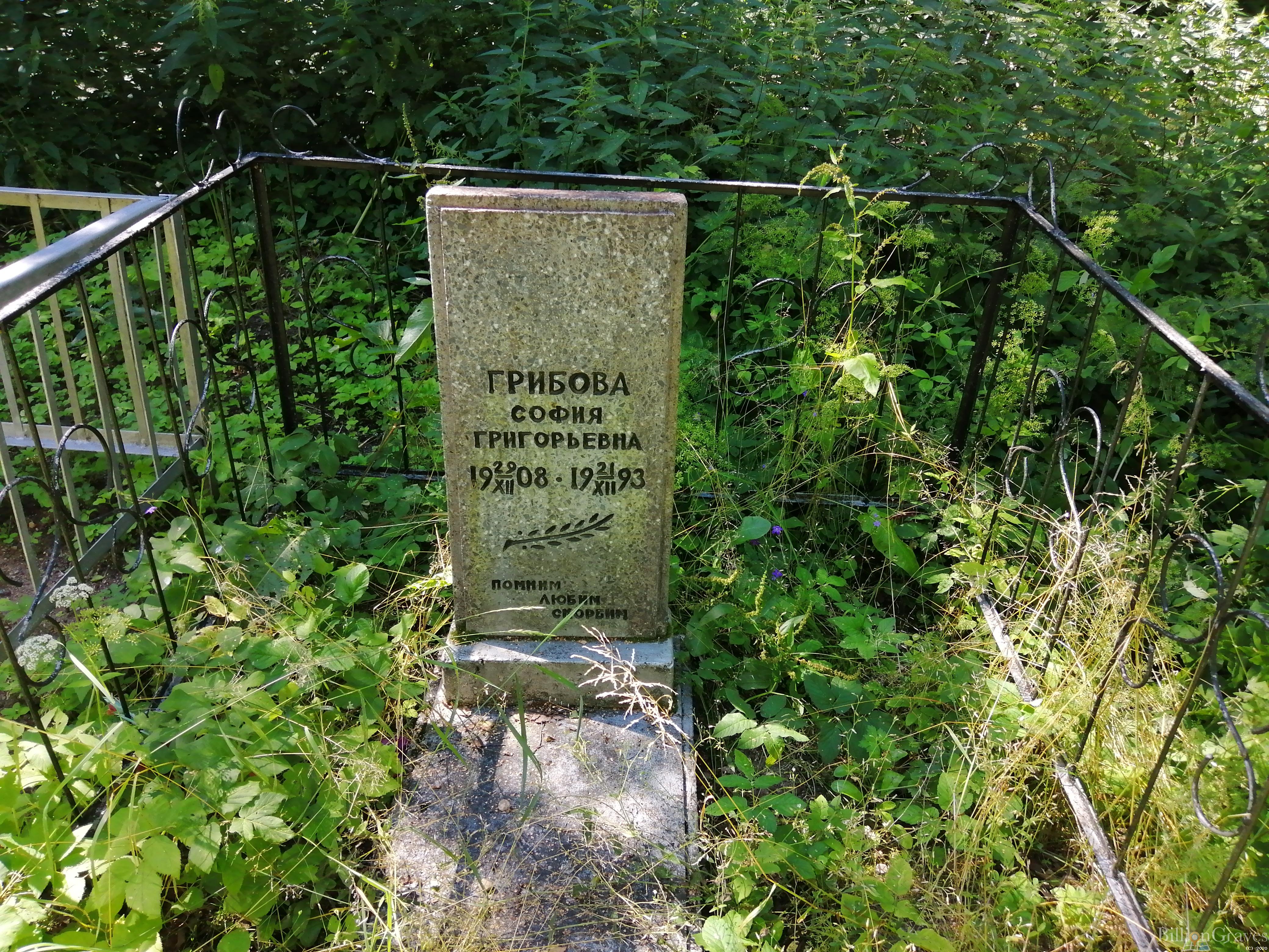 Грибова София Григорьевна