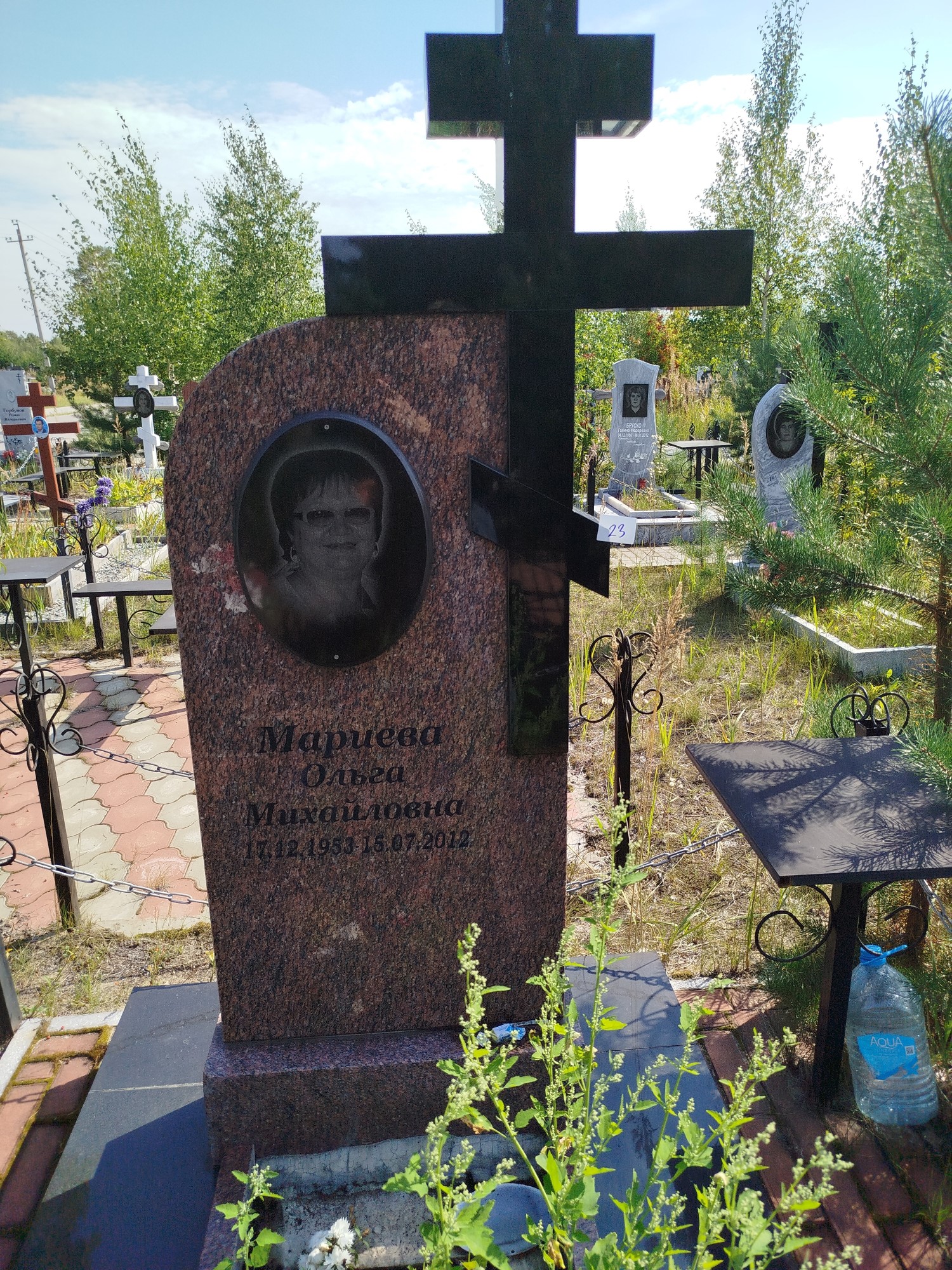 Мариева Ольга Михайловна