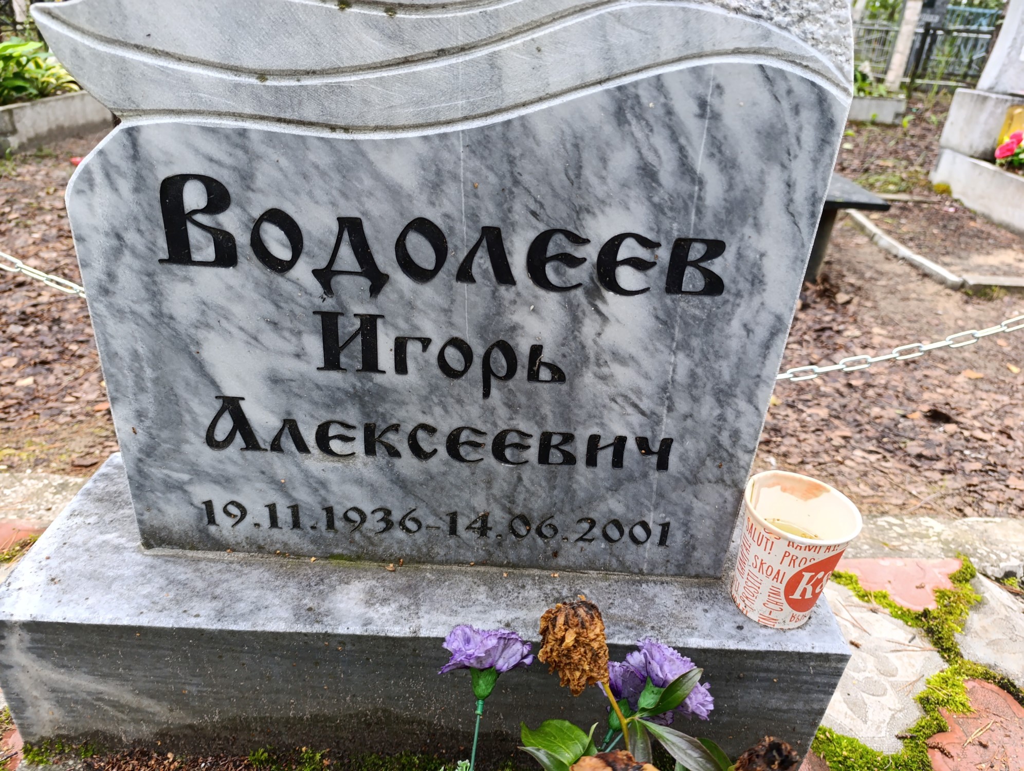 Водолеев Игорь Алексеевич