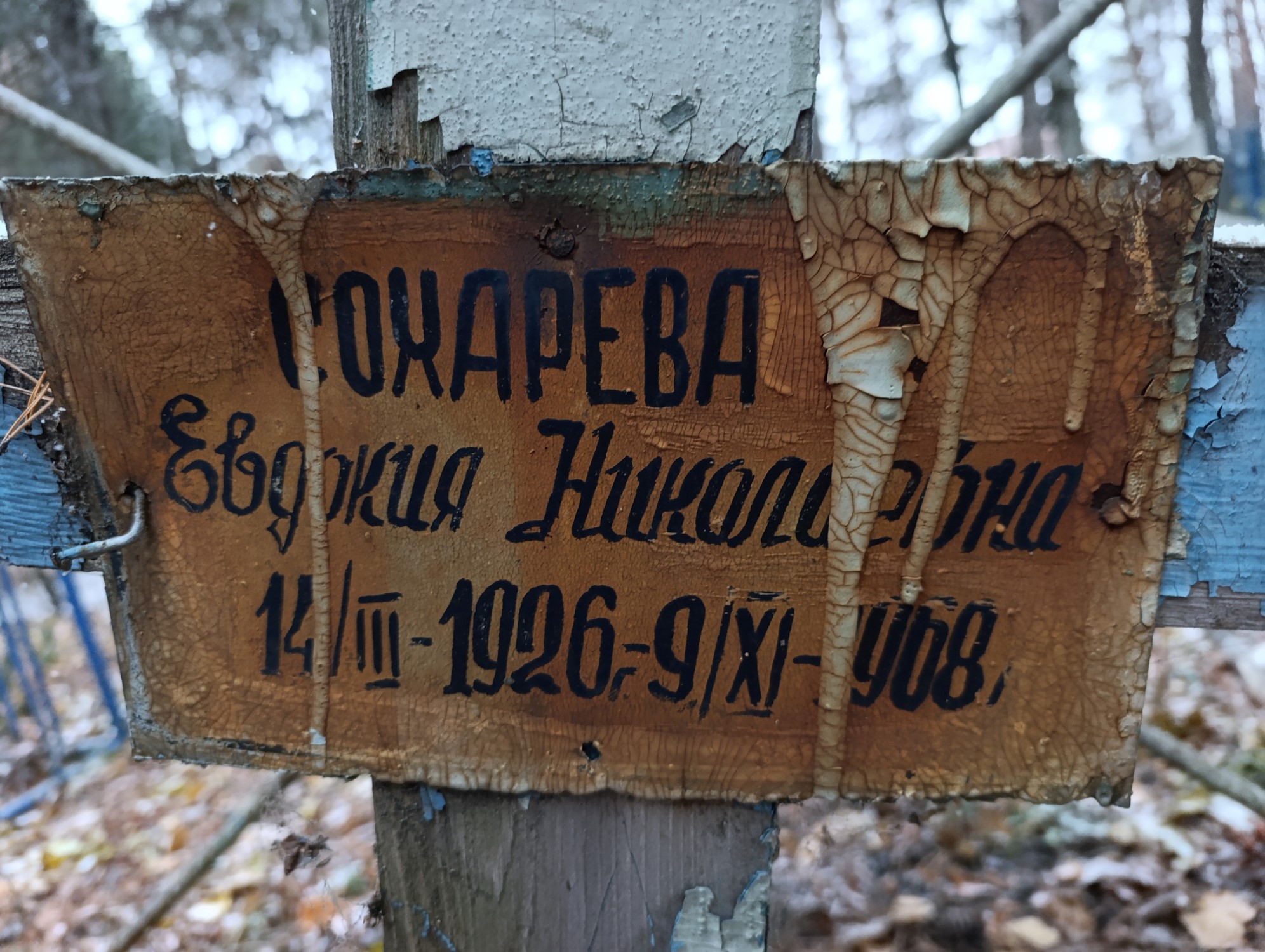 Сохарева Евдокия Николаевна