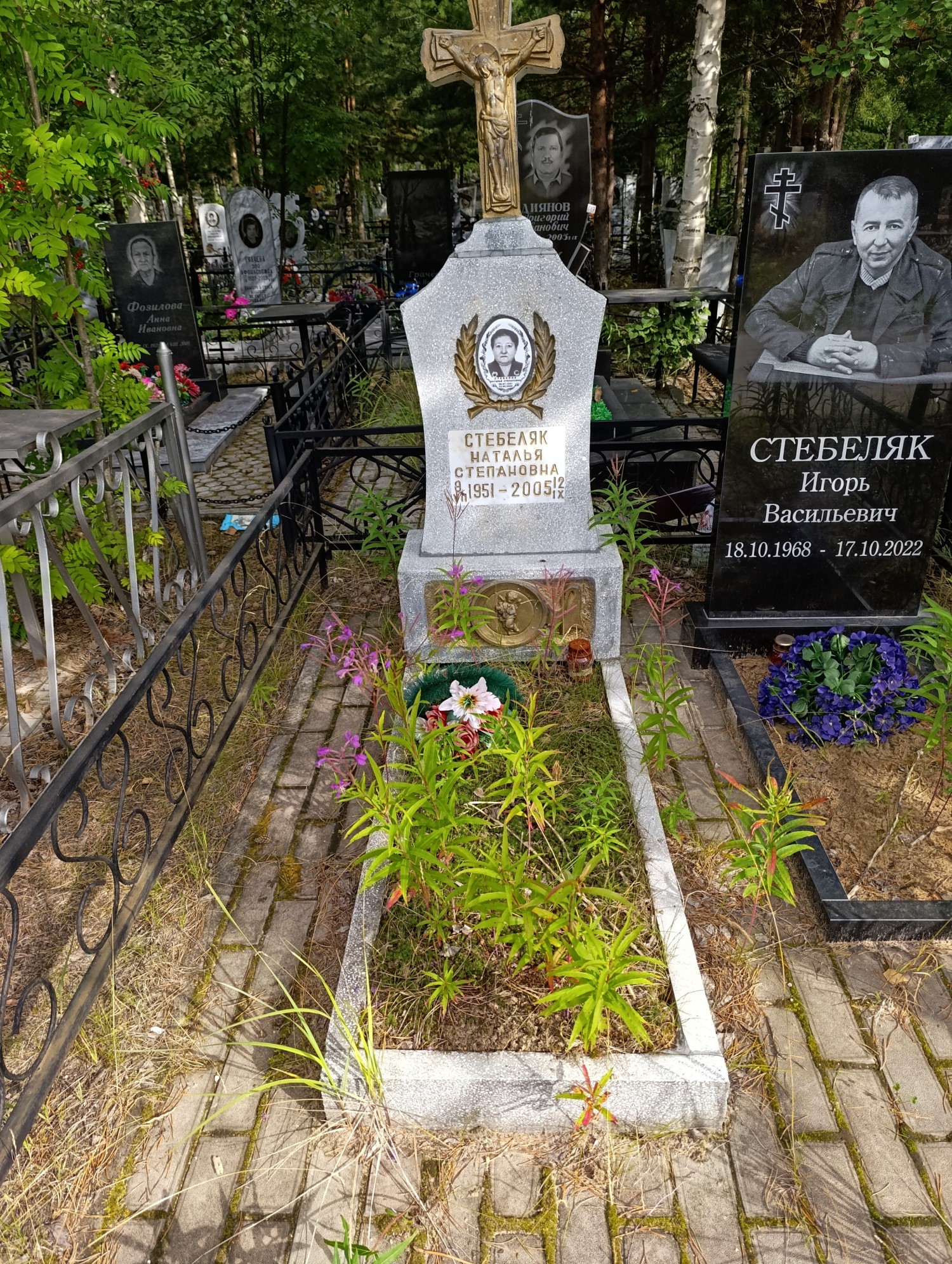 Стебеляк Наталья Степановна