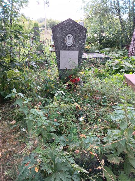 Белов Никита Васильевич