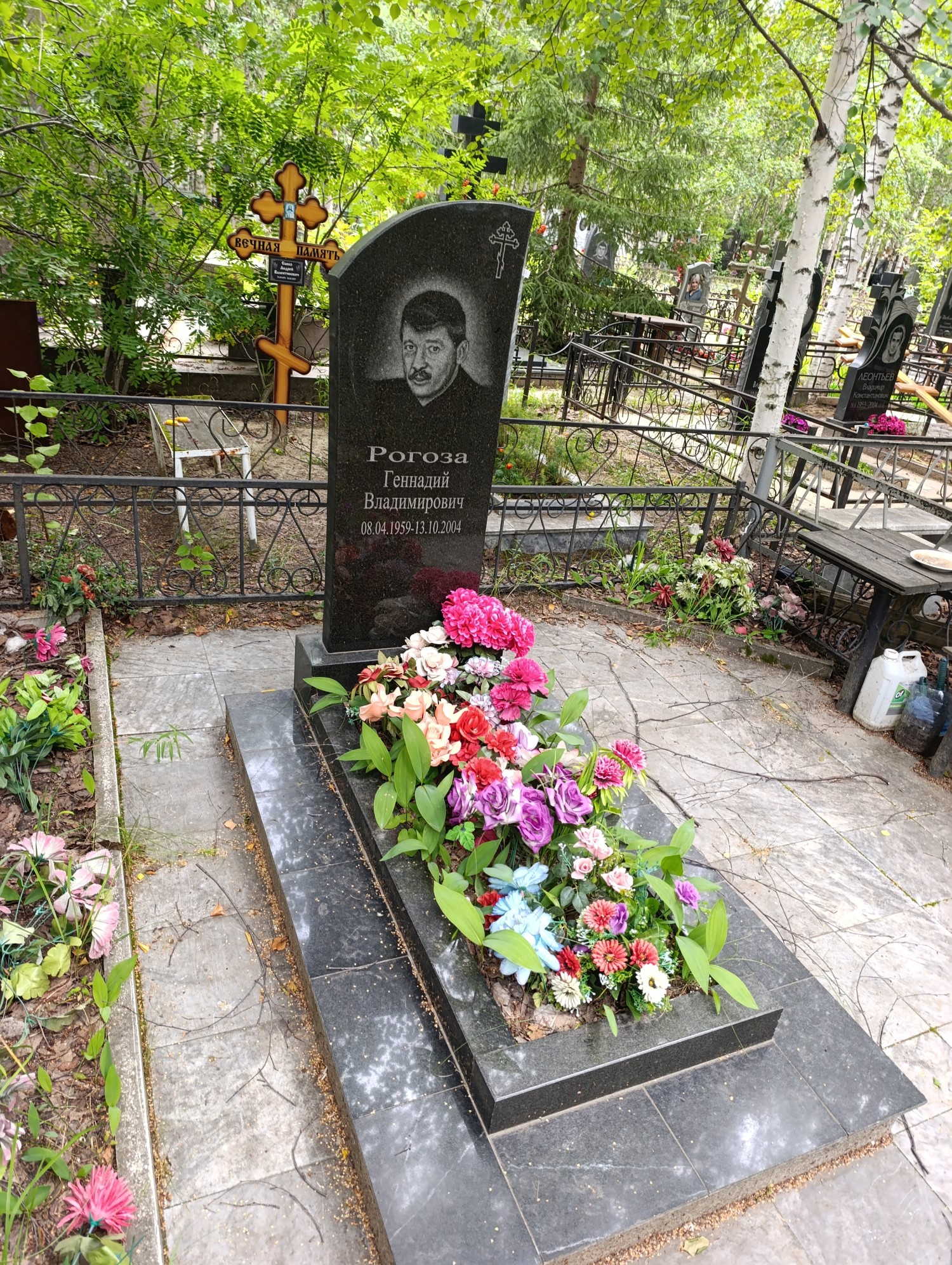 Рогоза Геннадий Владимирович