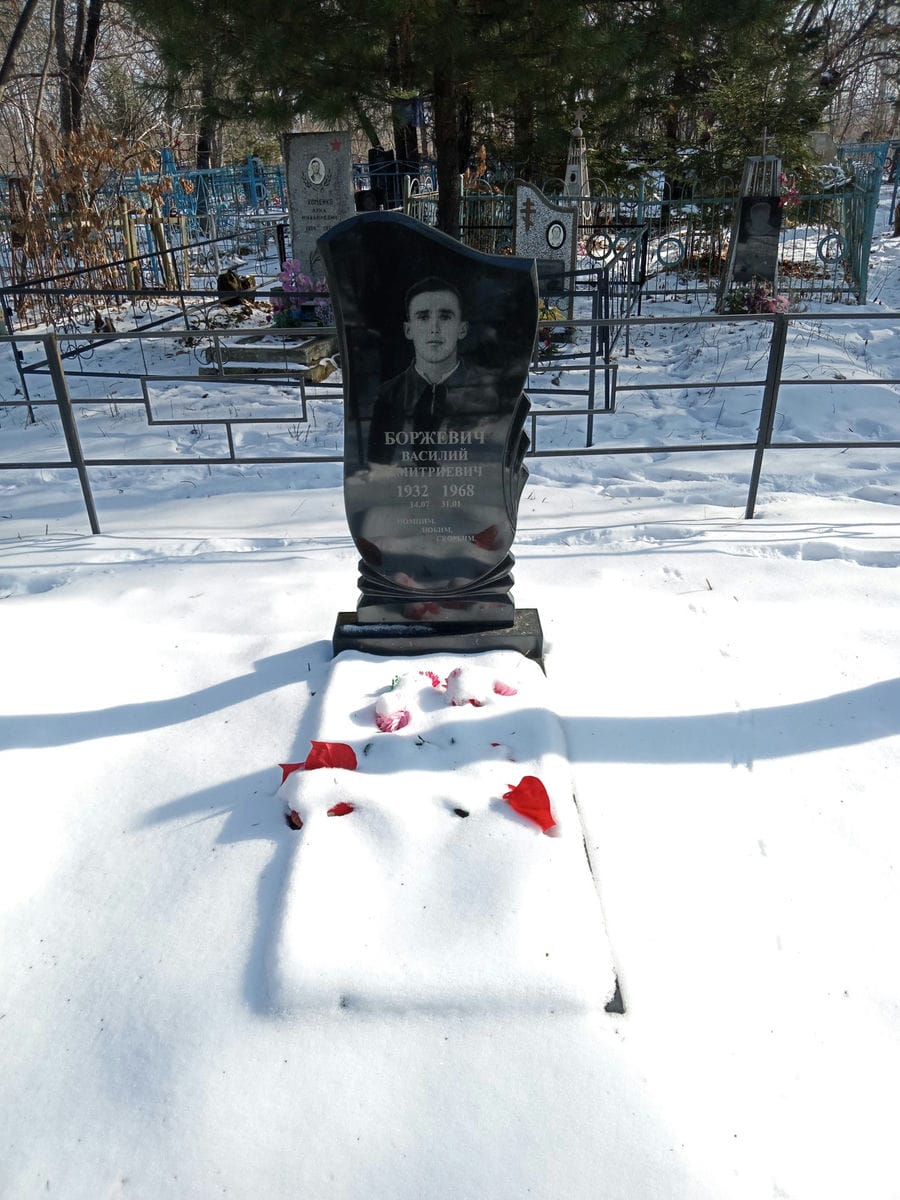 Боржевич Василий Дмитриевич