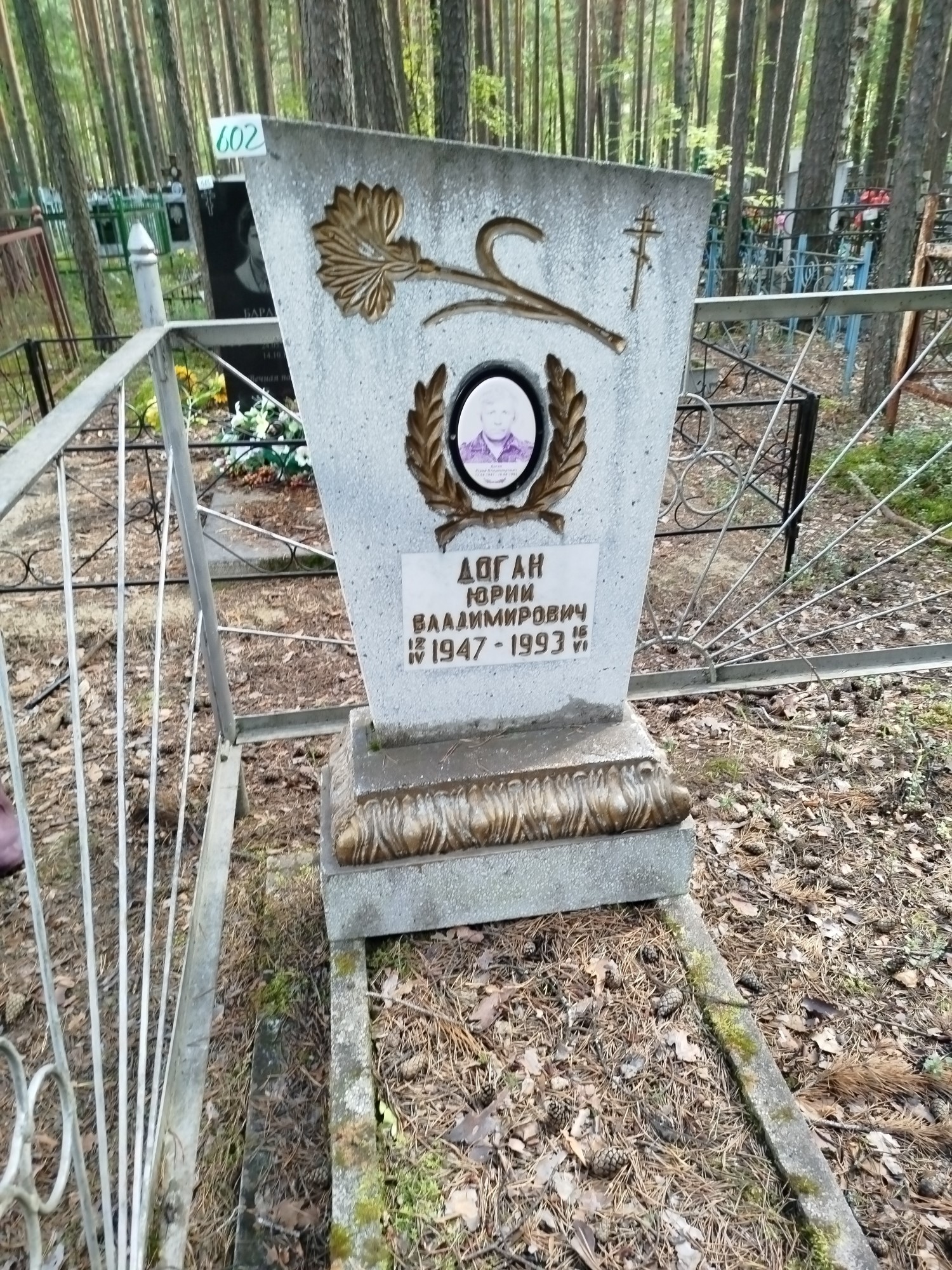 Доган Юрий Владимирович