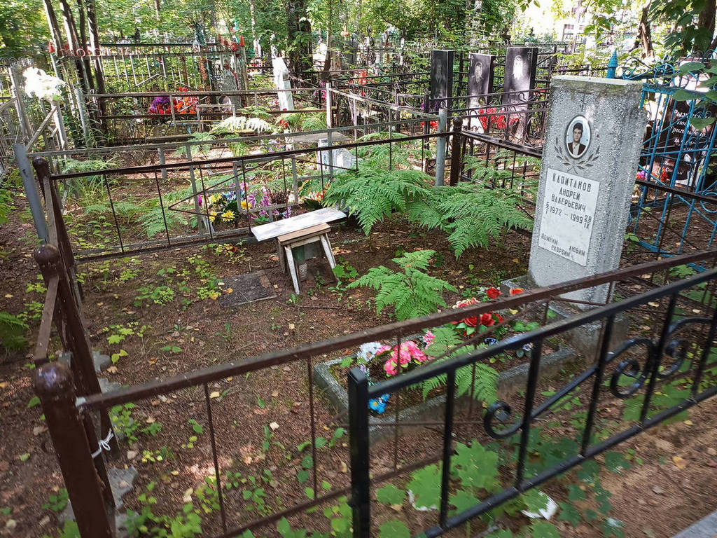 Капитанов Андрей Валерьевич