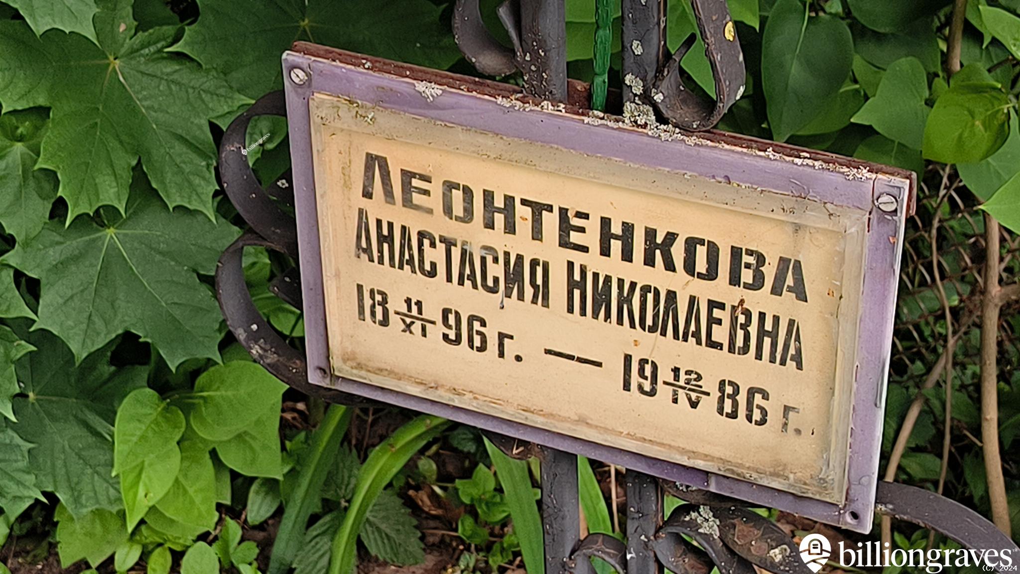 Леонтенкова Анастасия Николаевна
