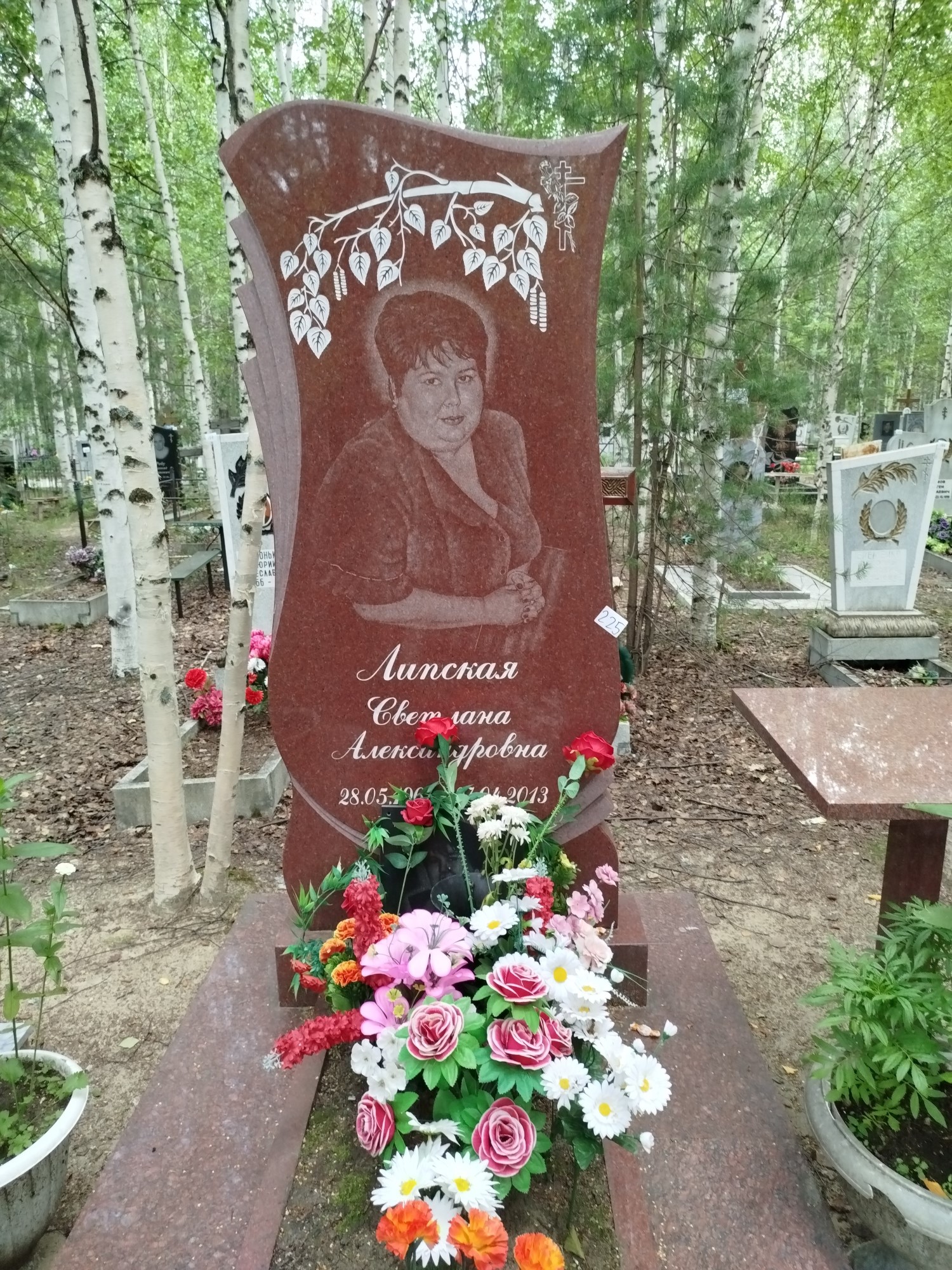 Липская Светлана Александровна