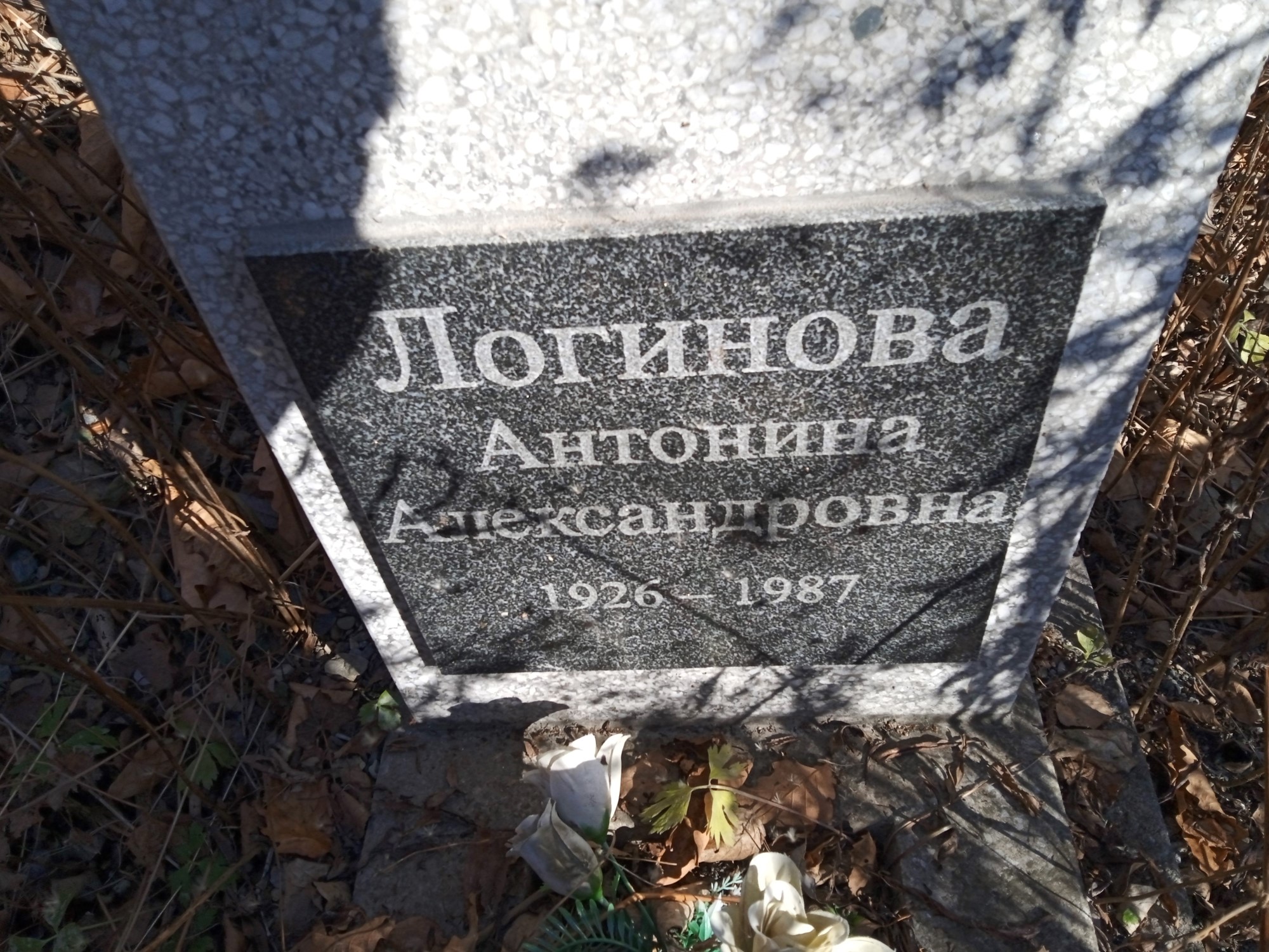 Логинова Антонина Александровна