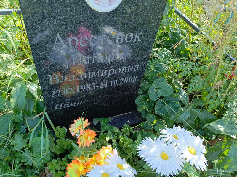 Арестенок