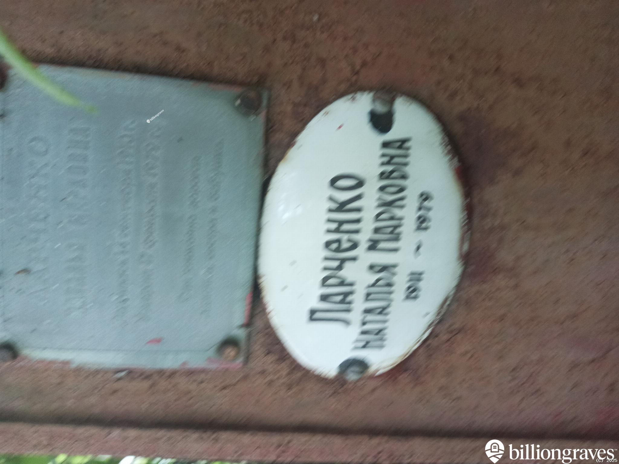 Ларченко Наталья Марковна