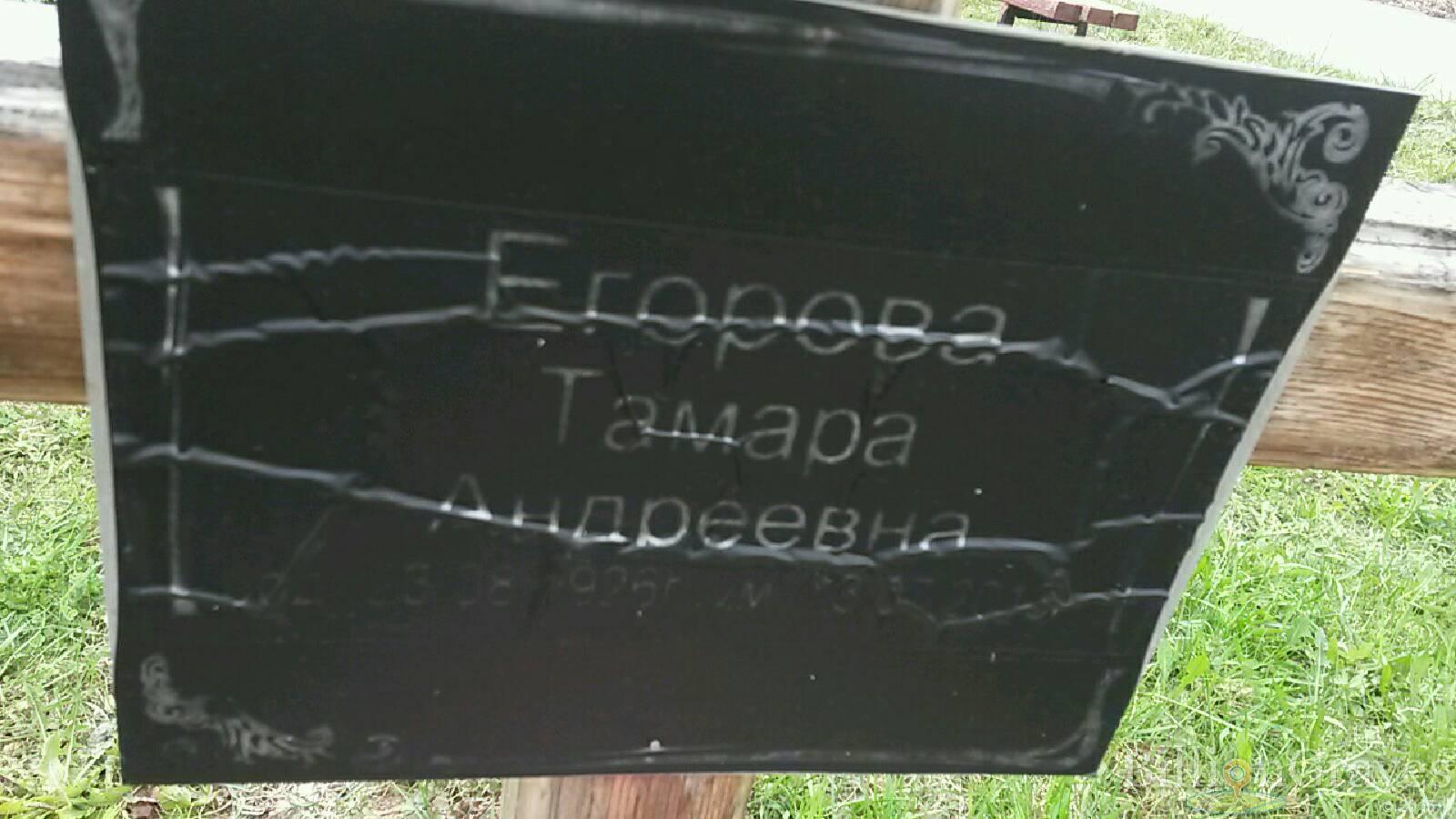 егорова тамара андреевна
