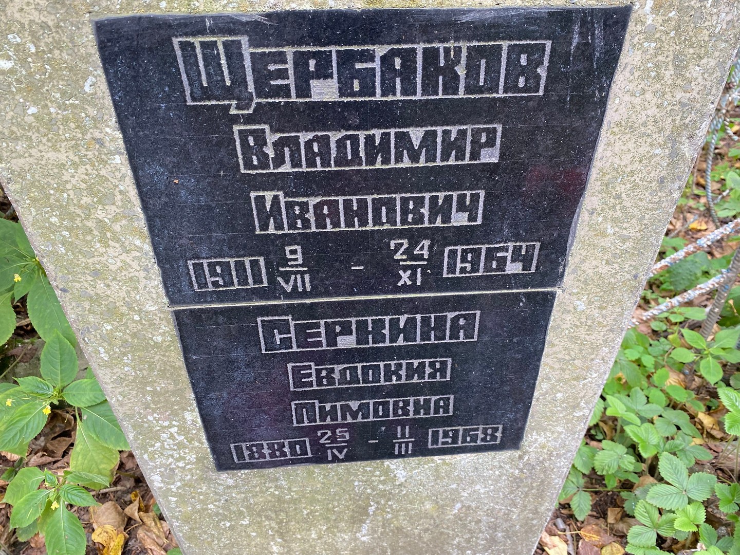 Щербаков