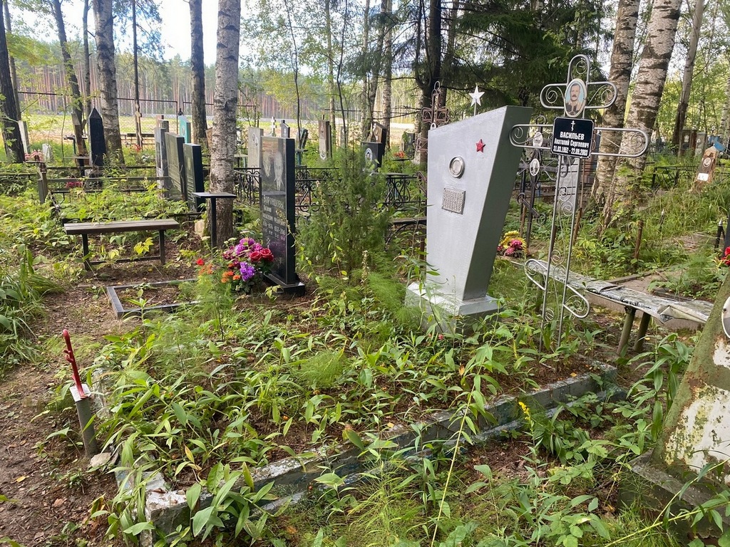 Васильев Анатолий Сергеевич