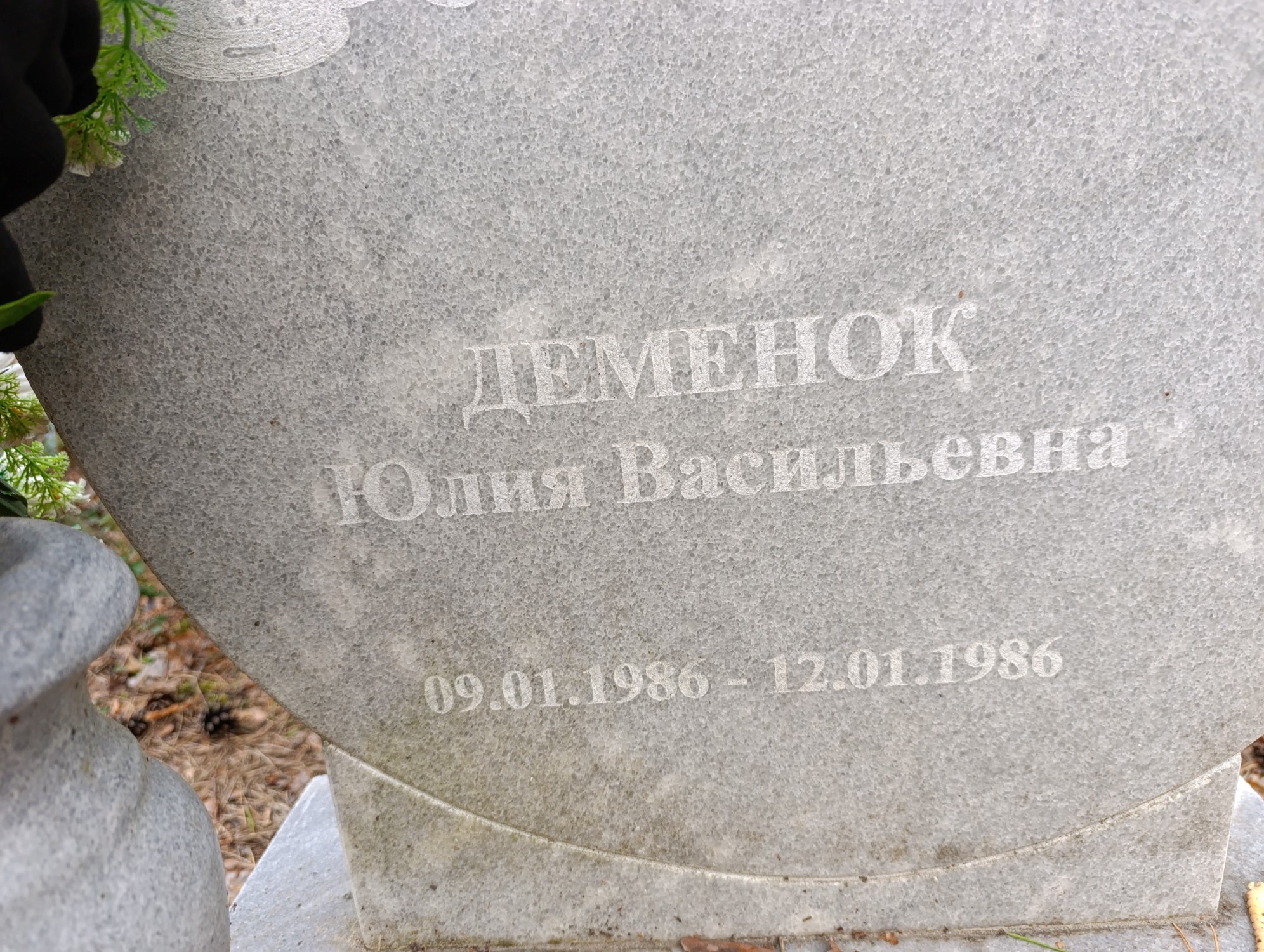 Деменок Юлия Васильевна
