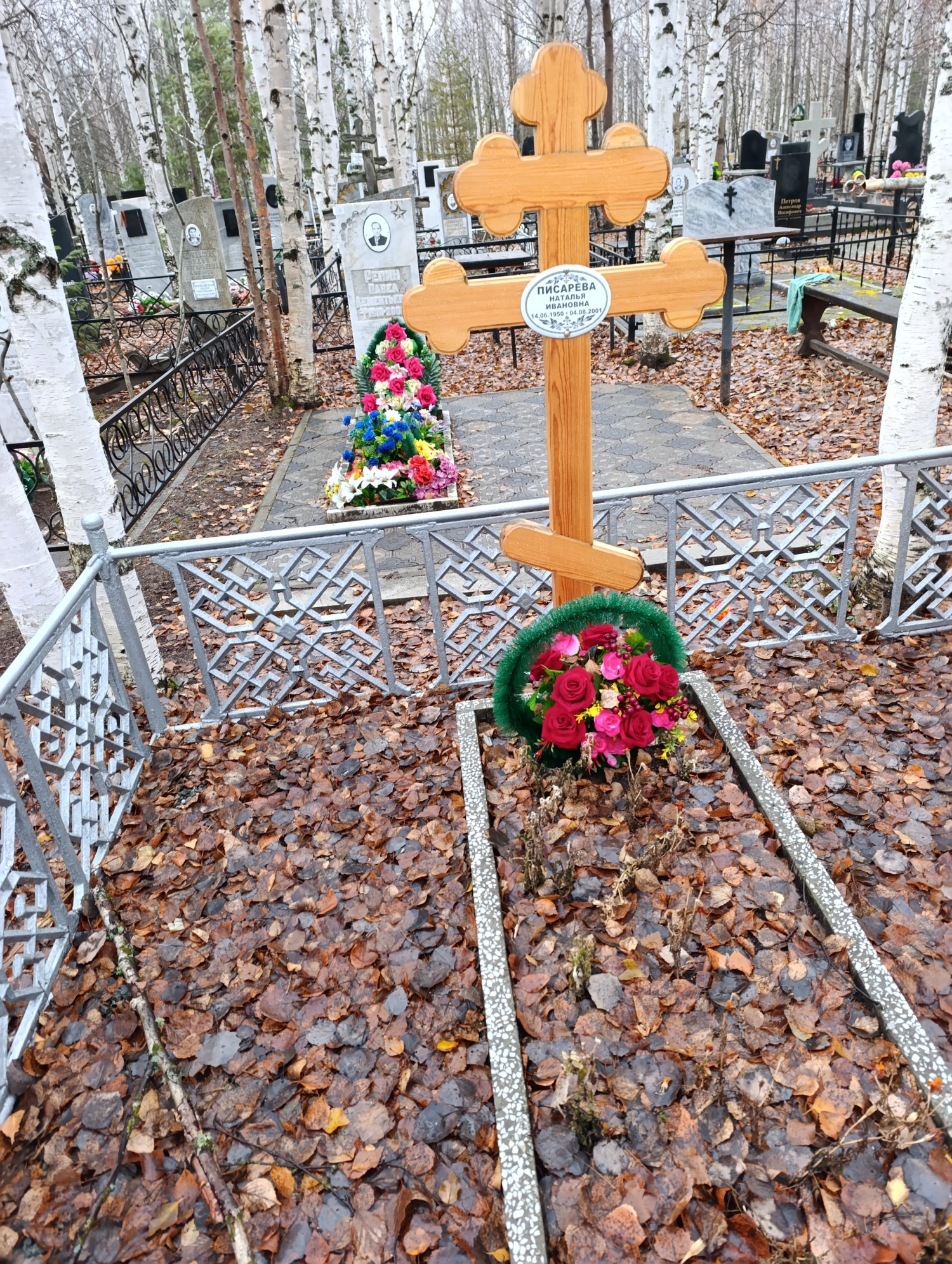 Писарева Наталья Ивановна