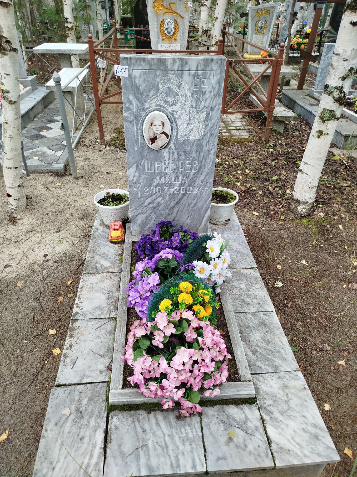 Шевырев Миша