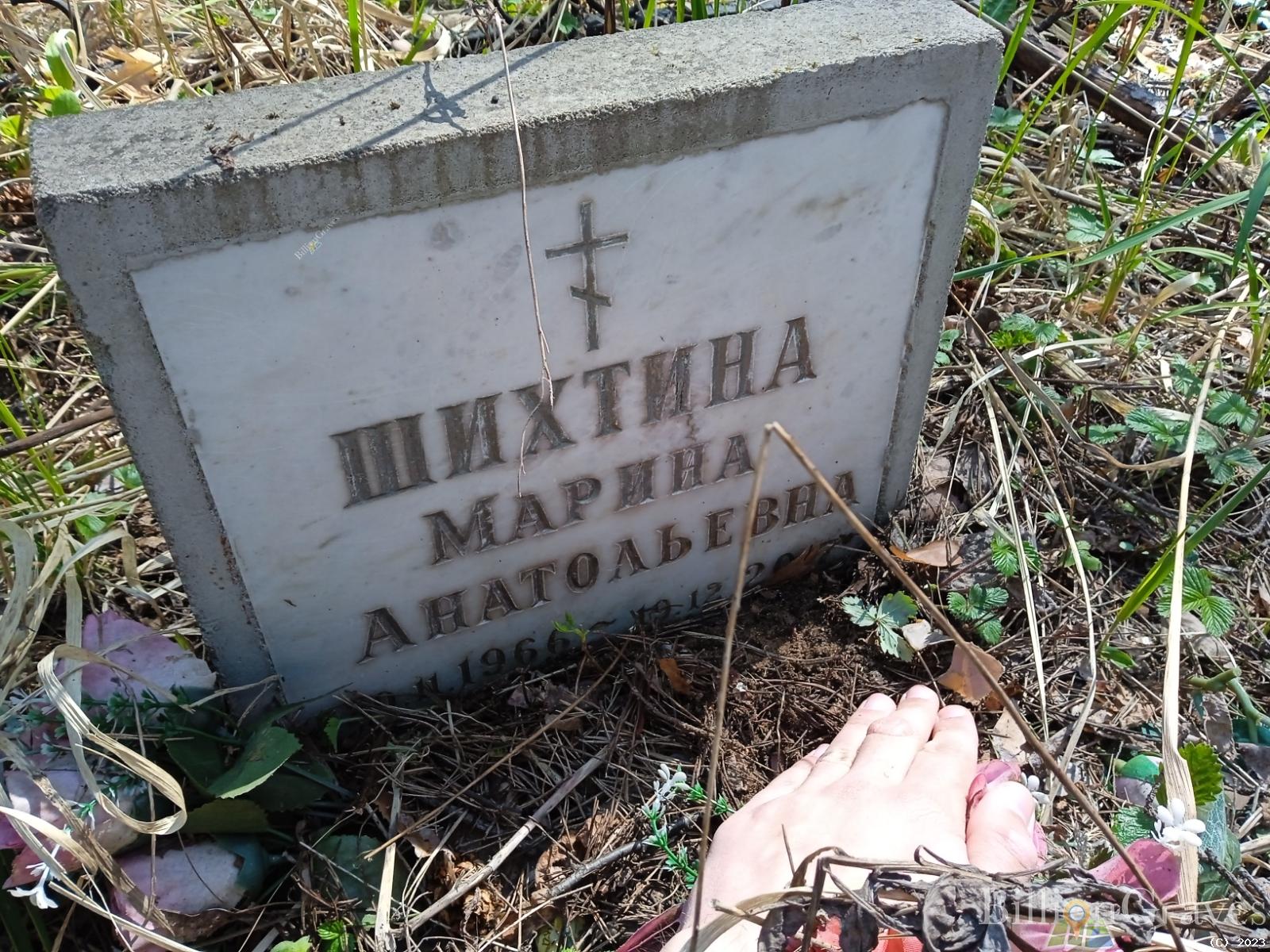 Шихтина Марина Анатольевна
