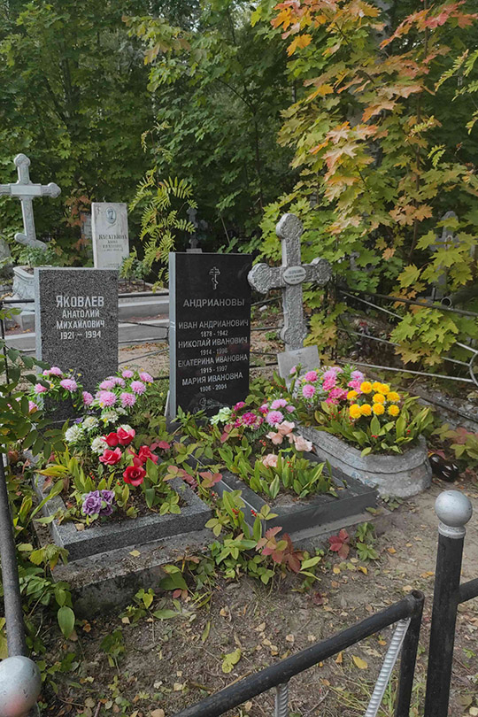 Яковлев Анатолий Михайлович
