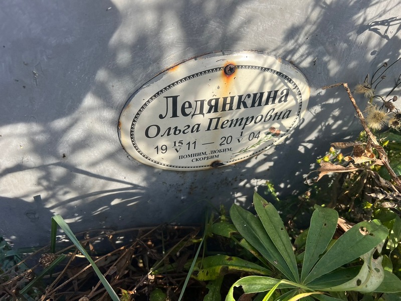 Ледянкина