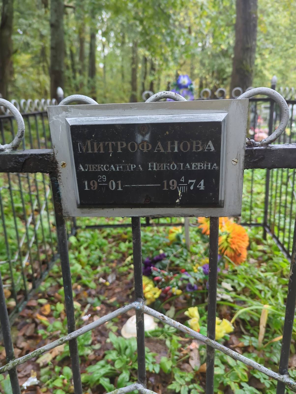 Митрофанова Александра Николаевна