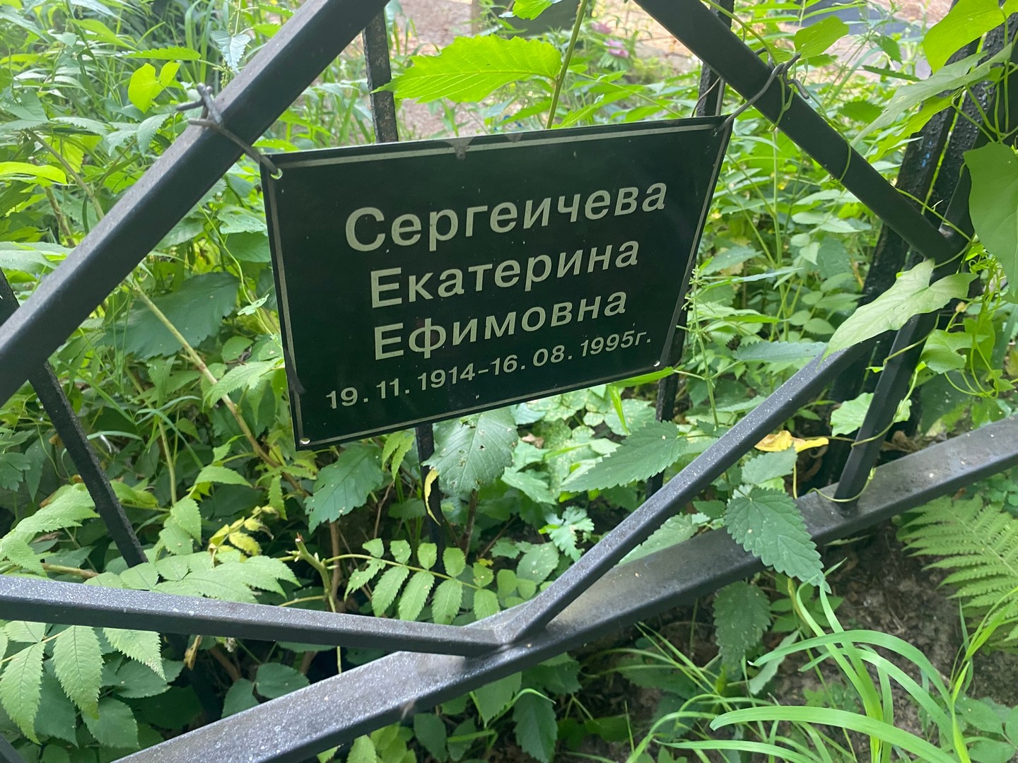 Сергеичева
