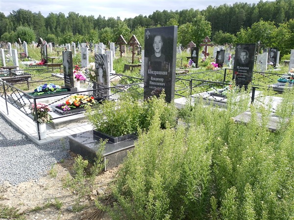 Кондрашкин Владимир Николаевич
