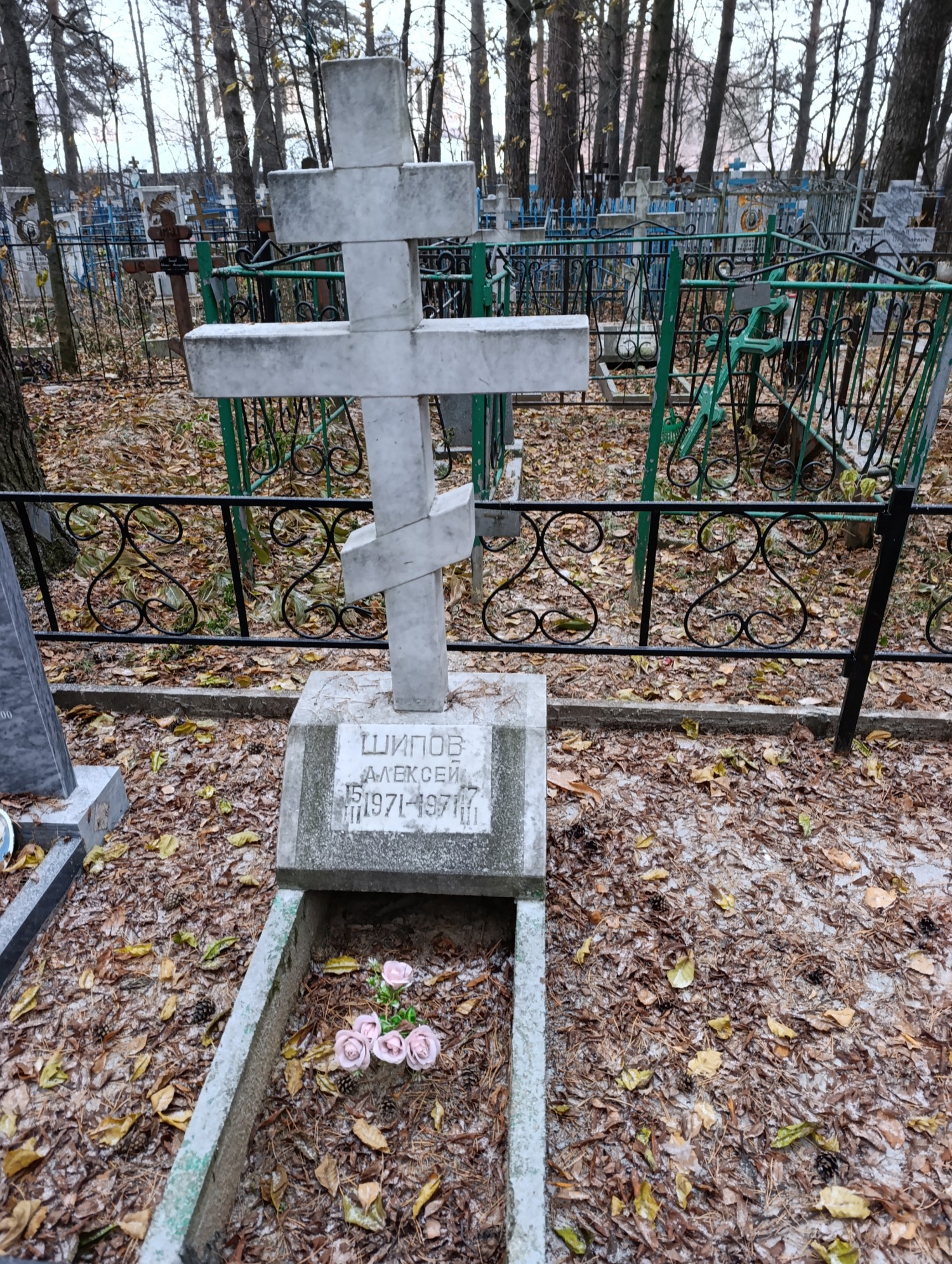 Шипов Алексей