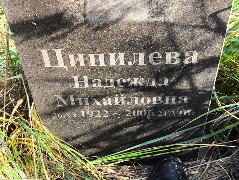 Ципилева