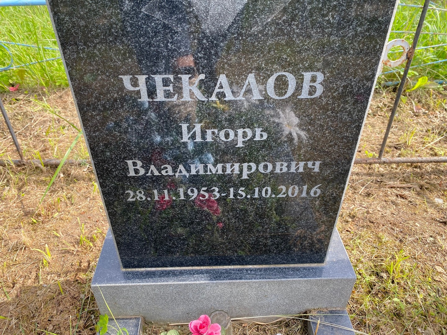Чекалов