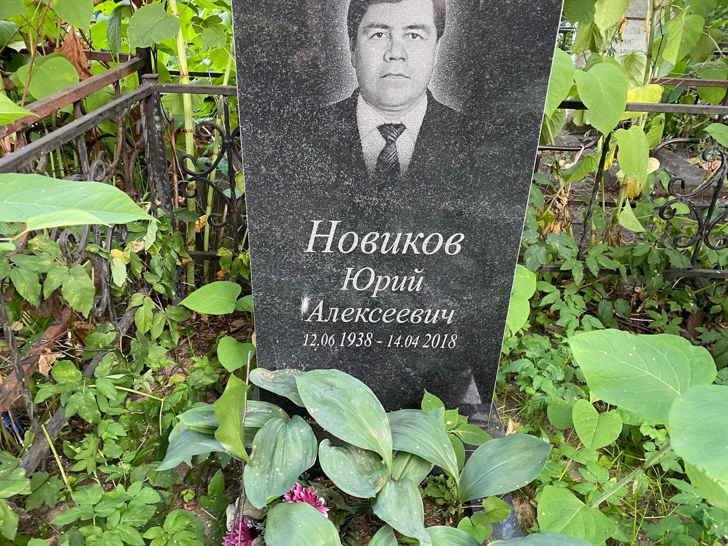 Новиков