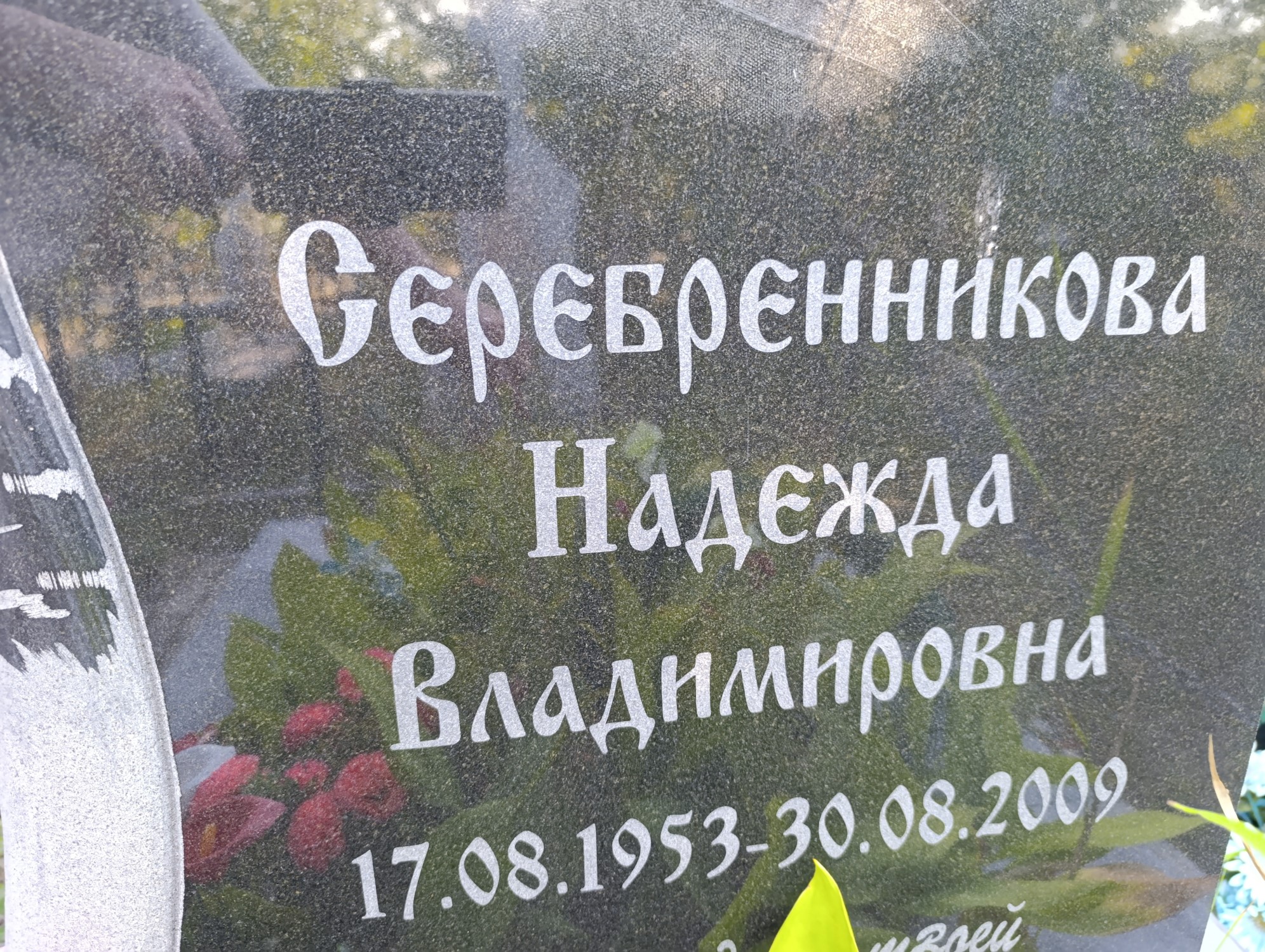 Серебренникова Надежда Владимировна