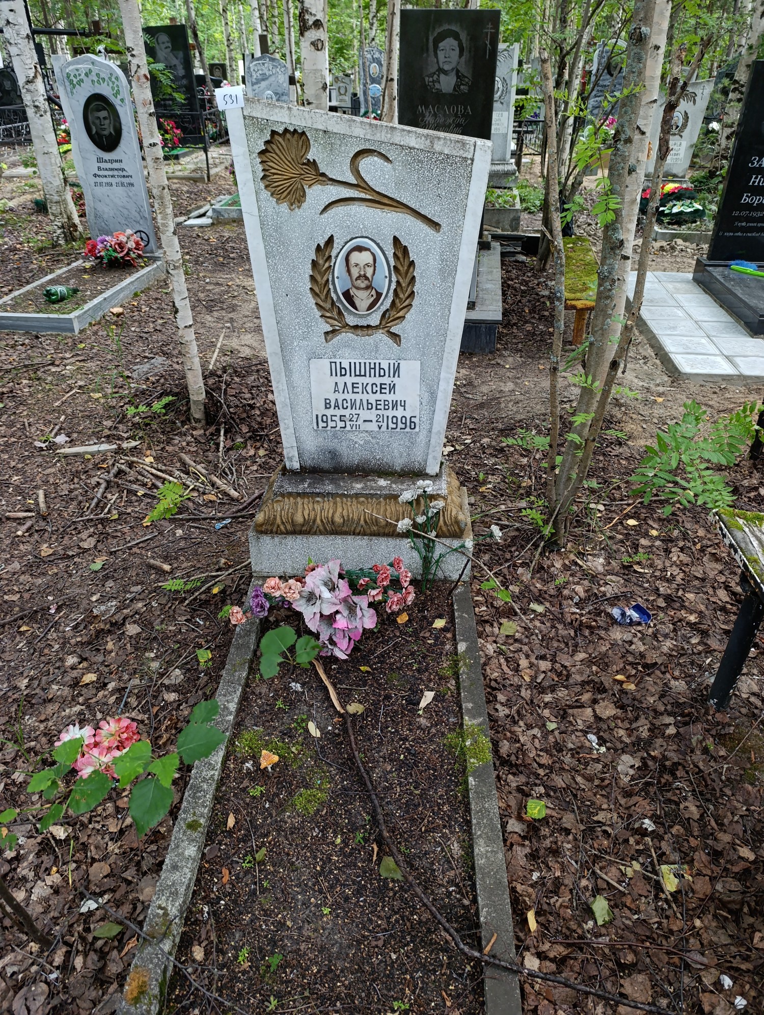 Пышный Алексей Васильевич