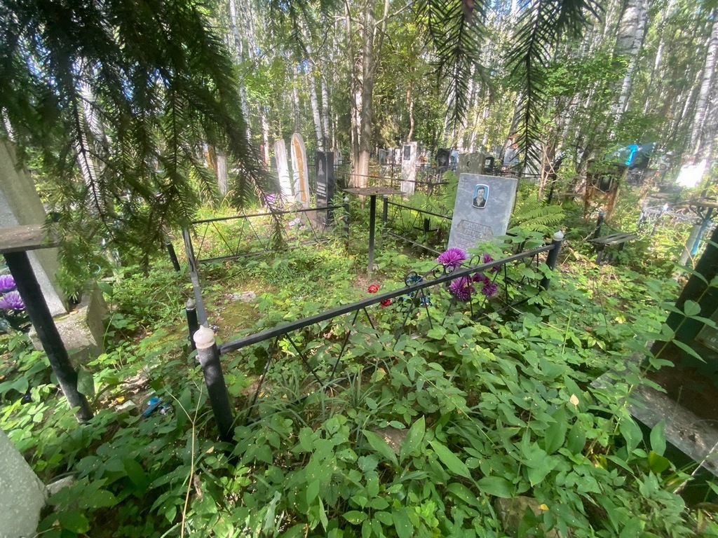 Янушко Евгений Владимирович