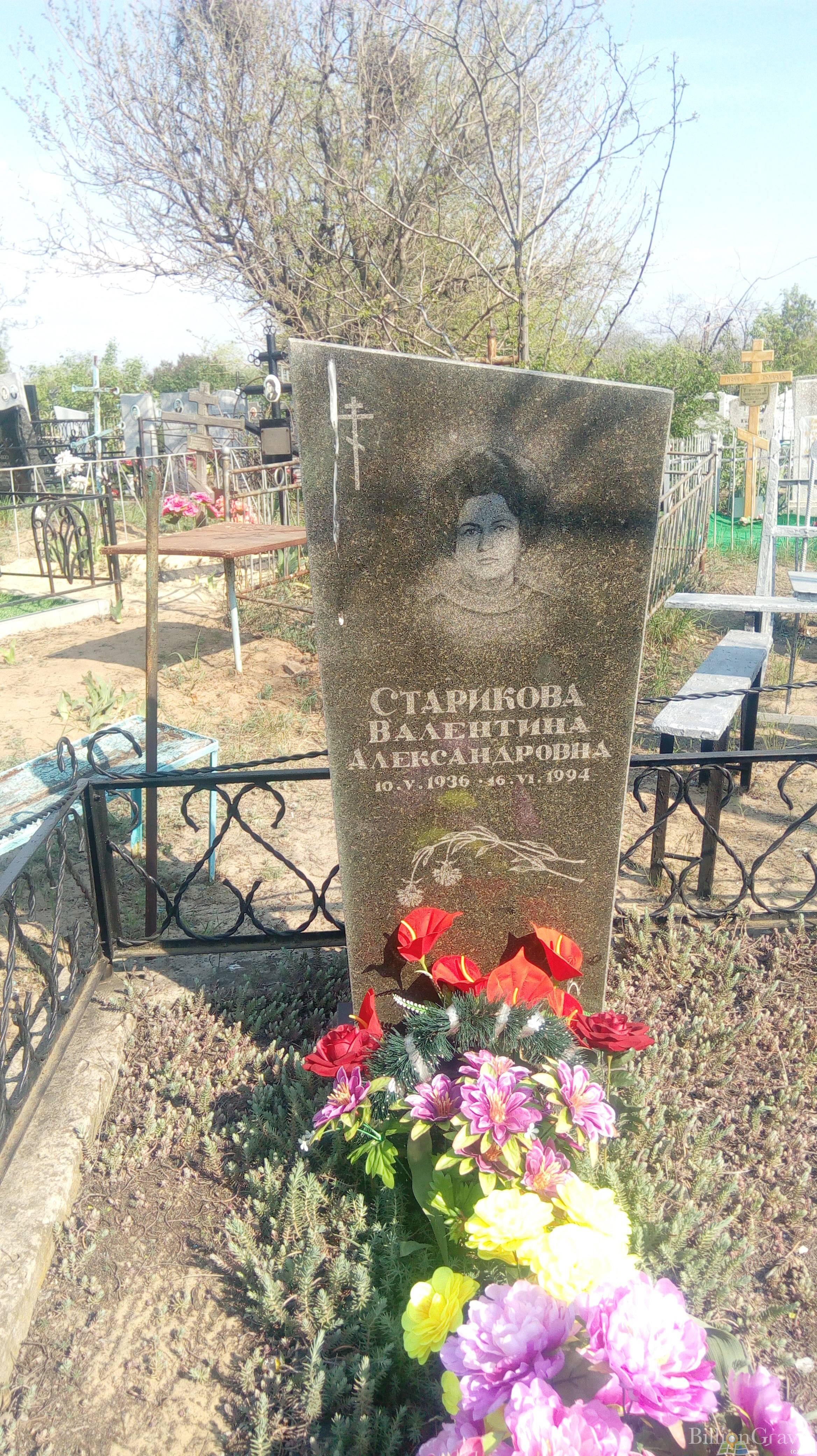 Старикова Валентина Александровна