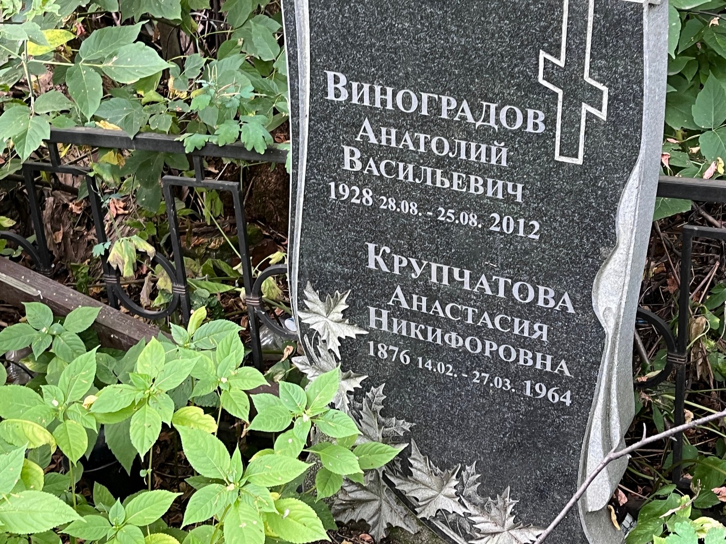 Виноградов