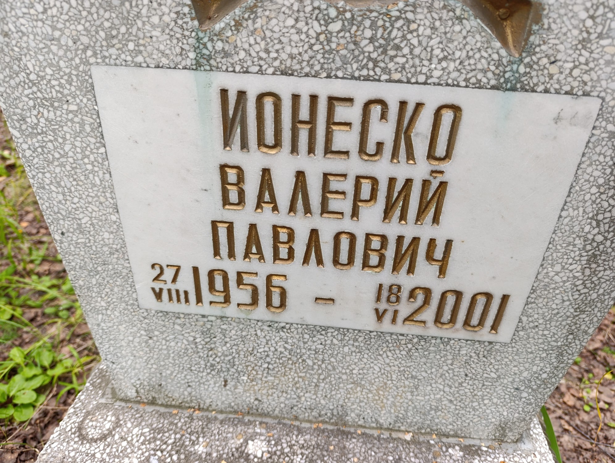 Ионеско Валерий Павлович