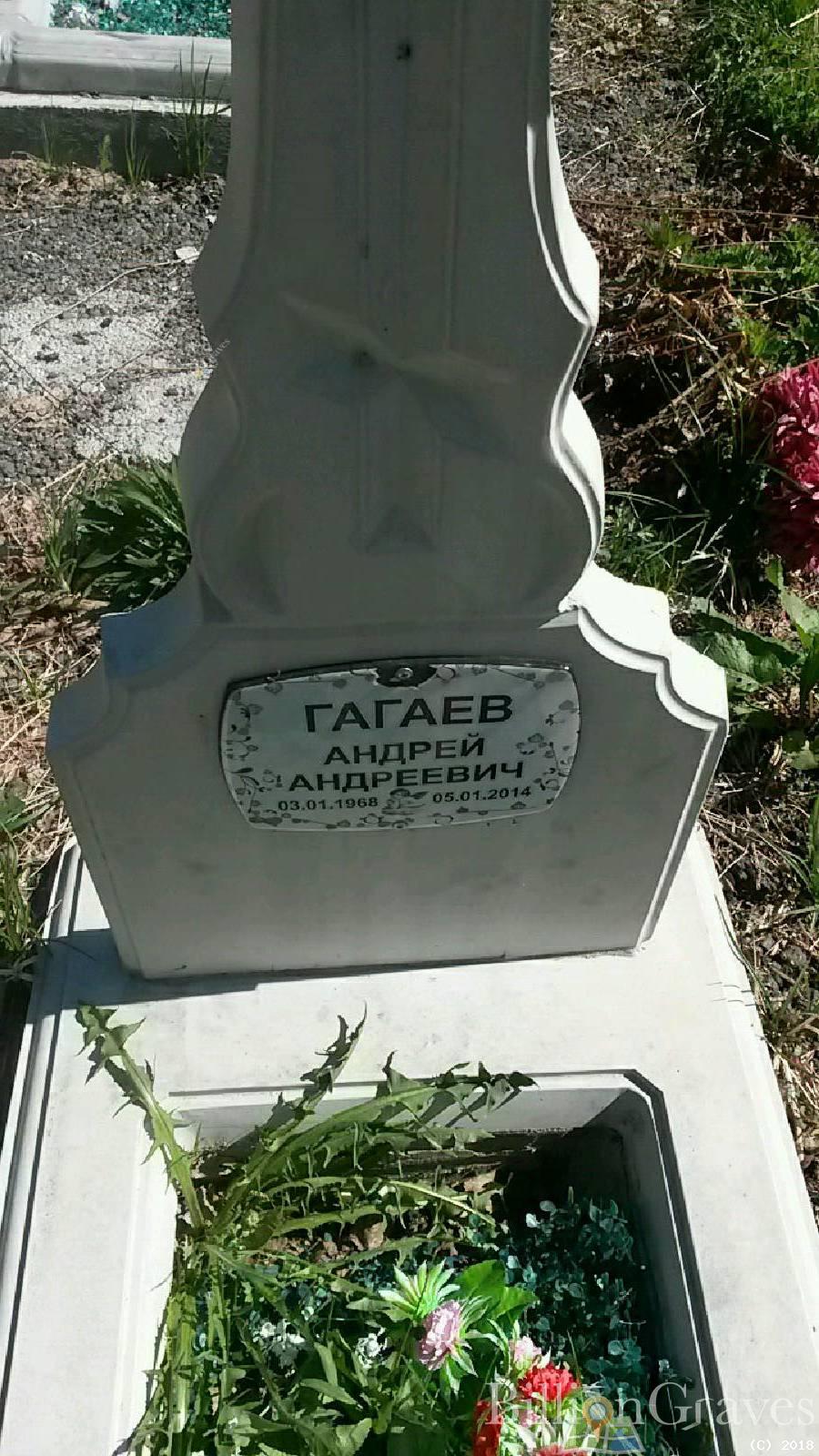Гагаев Андрей Андреевич