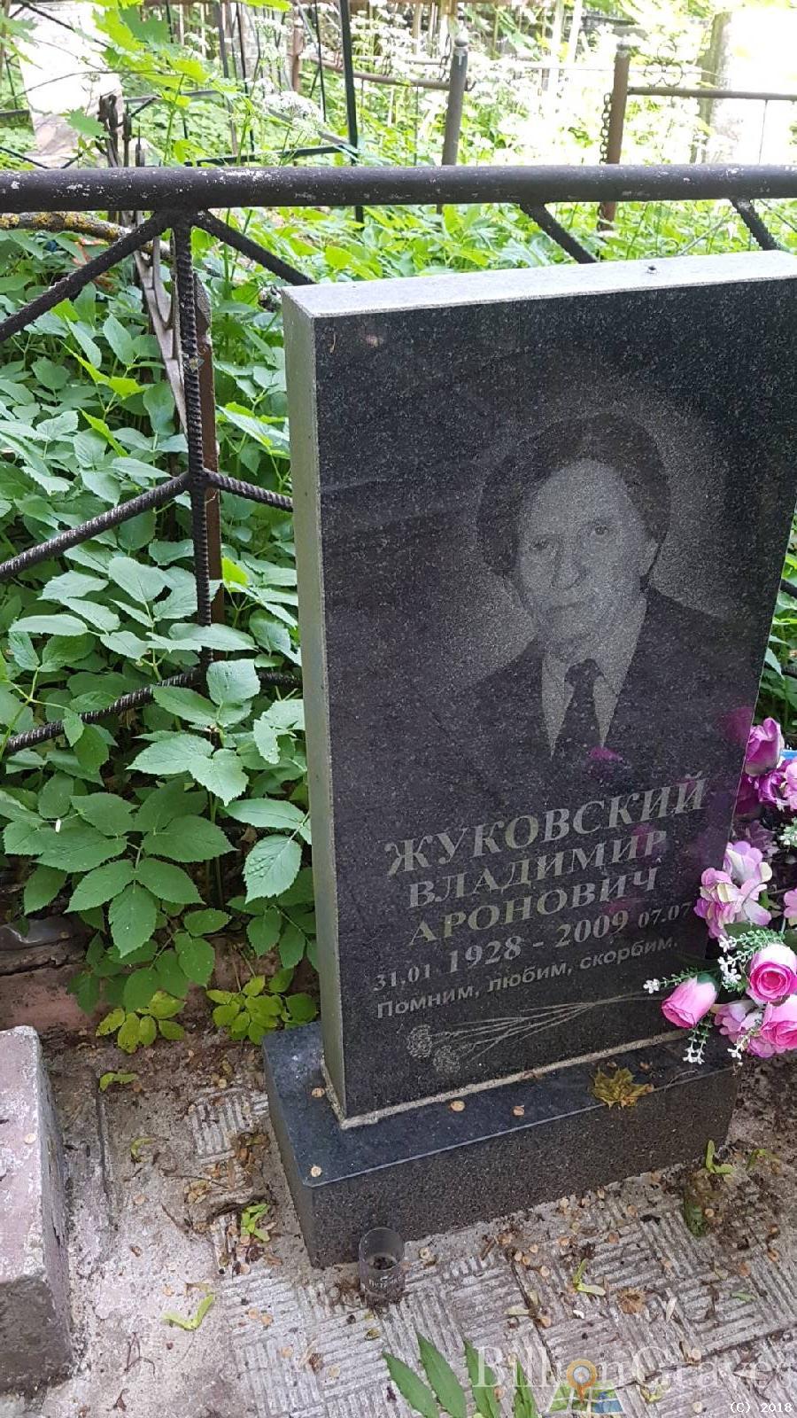 Жуковский Владимир Аронович