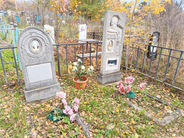 Добрышкина Анастасия Андреевна