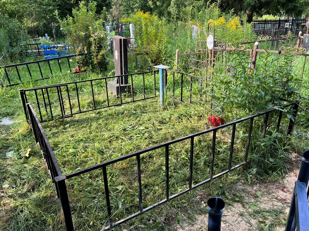 Ляпин Николай Владимирович