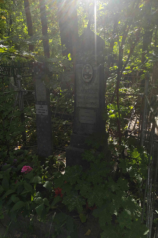 Алексеев Николай Михайлович