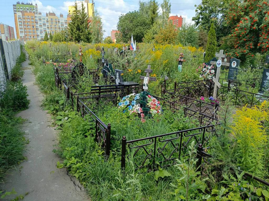 Мороз Виталий Федорович