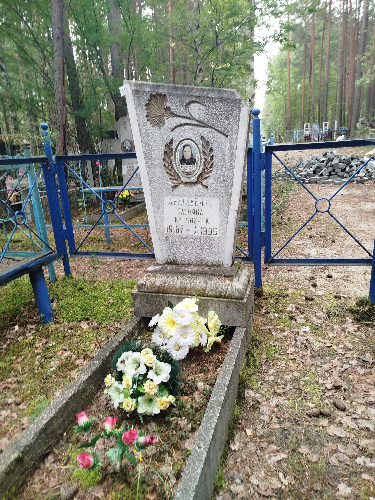 Демиденко Татьяна Ильинична