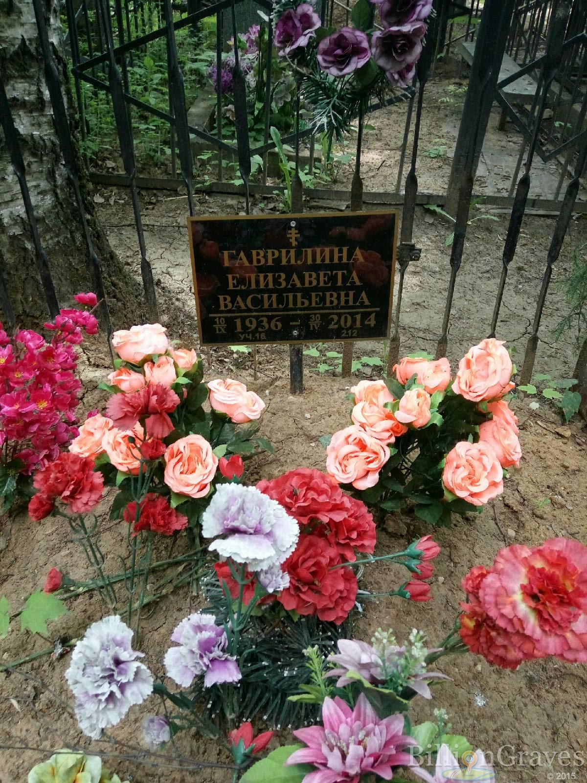 Гаврилина Елизавета Васильевна
