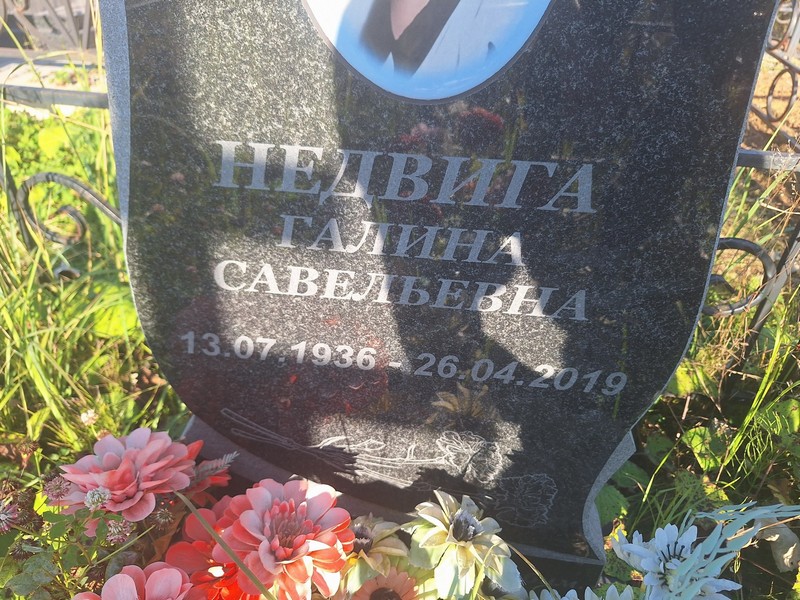 Недвига