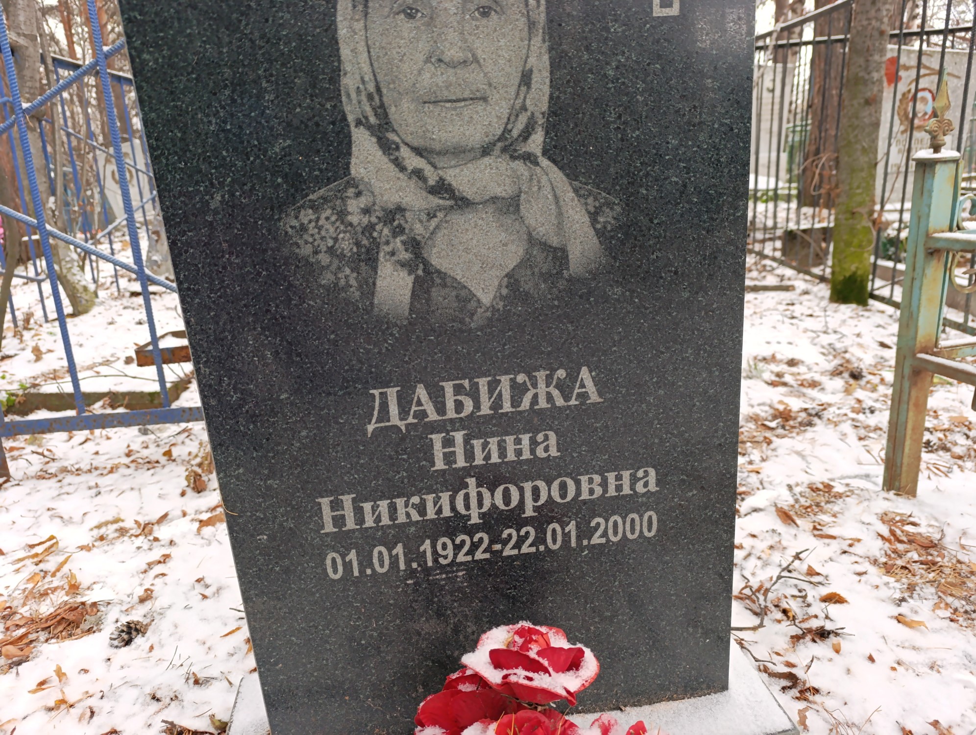 Дабижа Нина Никифоровна