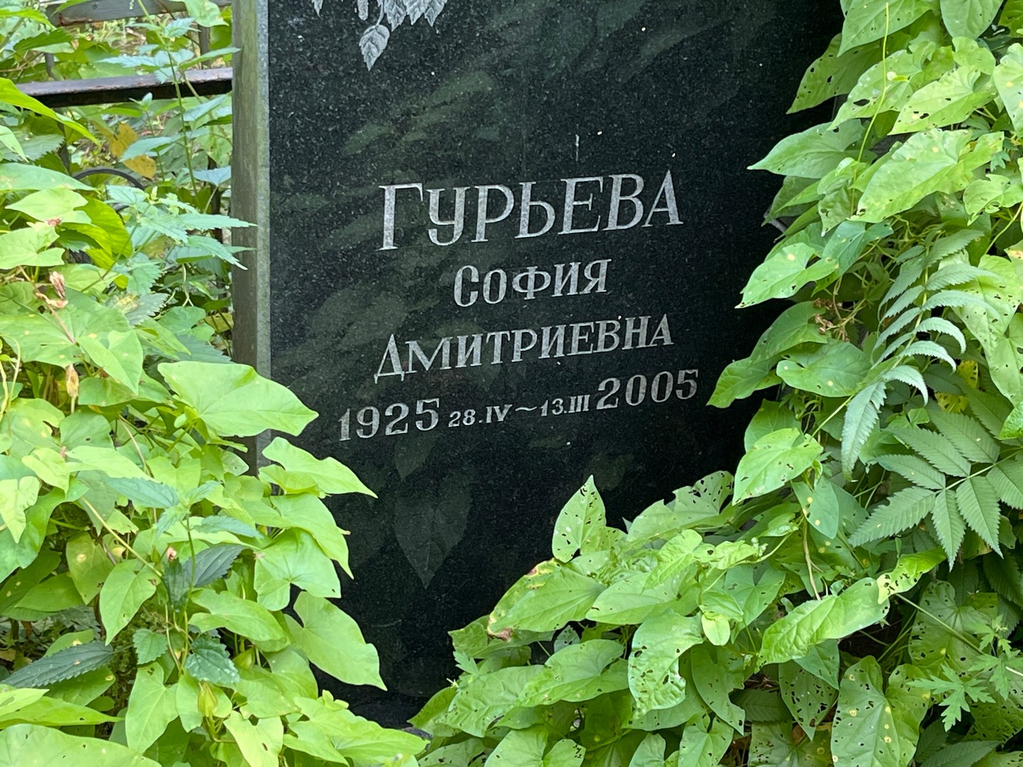 София Гурьева Дмитриевна