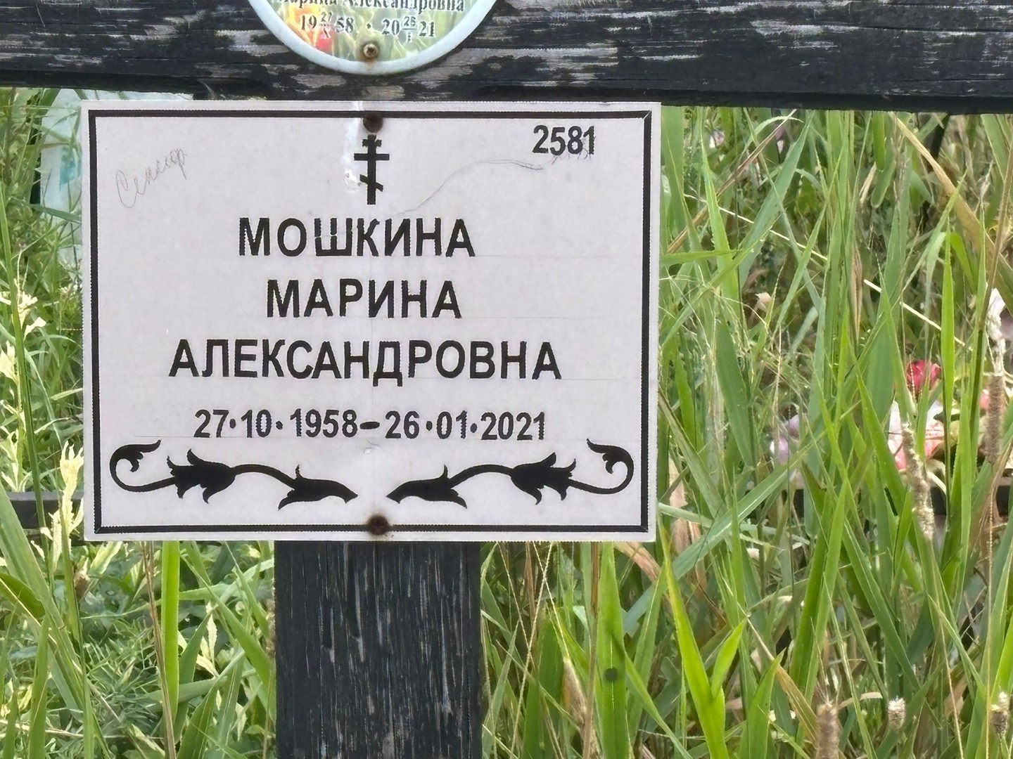 Мошкина