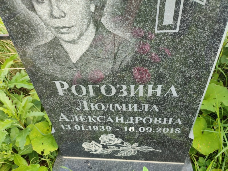 Рогозина
